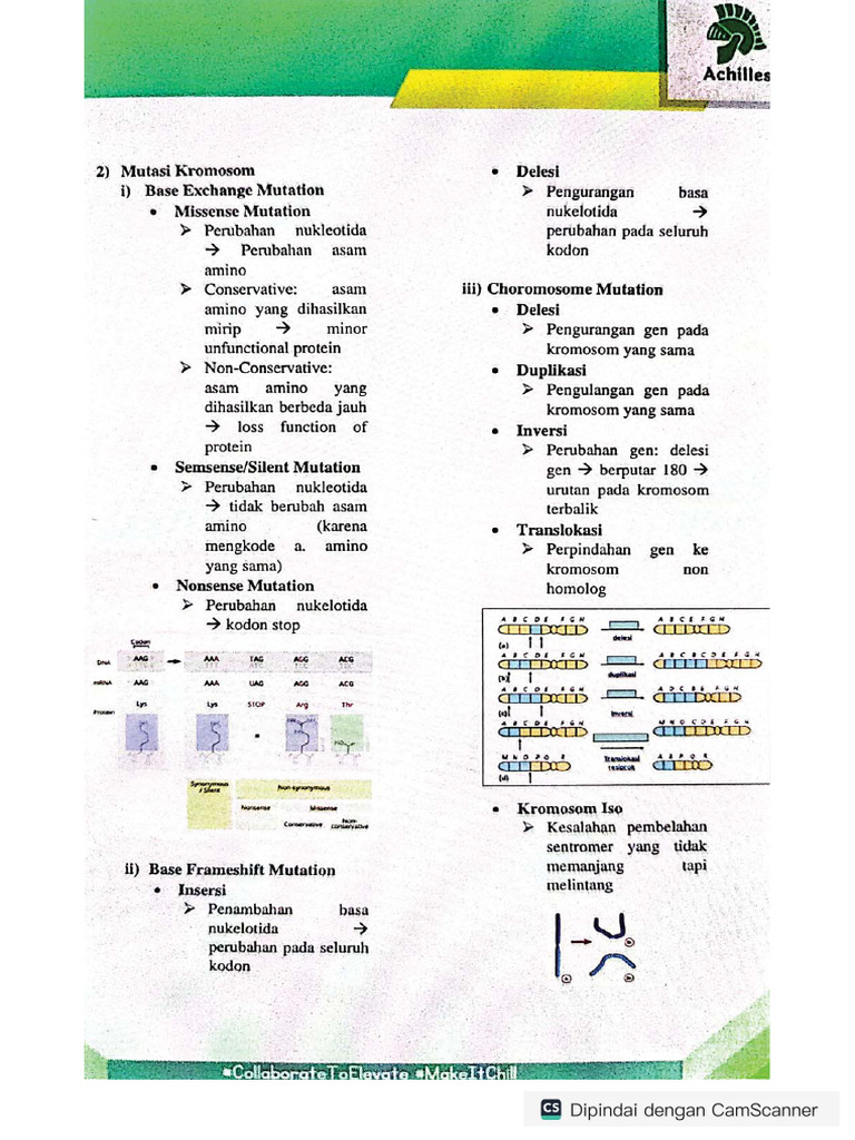 Mutasi Gen 2 | PDF