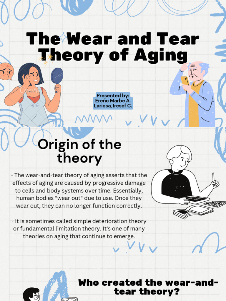 Wear and Tear Theory of Aging Explained | PDF | Ageing | Theory