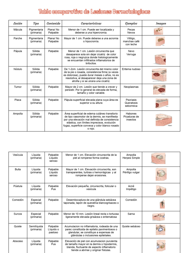 Lesiones Dermatológicas: Guía Comparativa | PDF | Piel | Anticuerpo