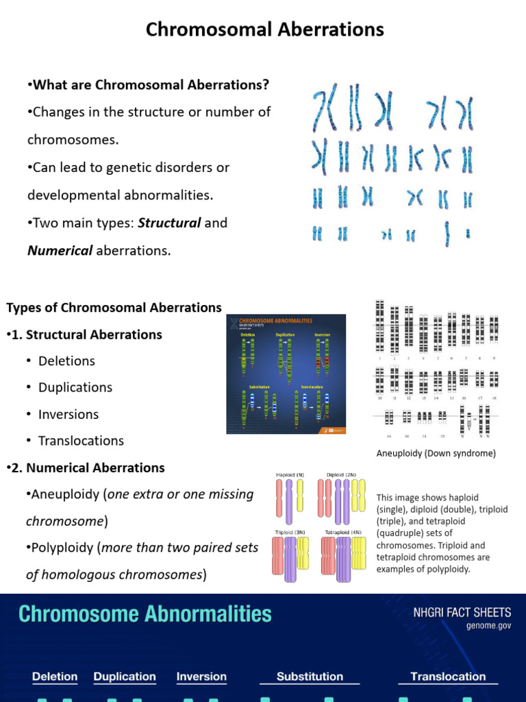 Understanding Chromosomal Aberrations | PDF | Ploidy | Chromosome