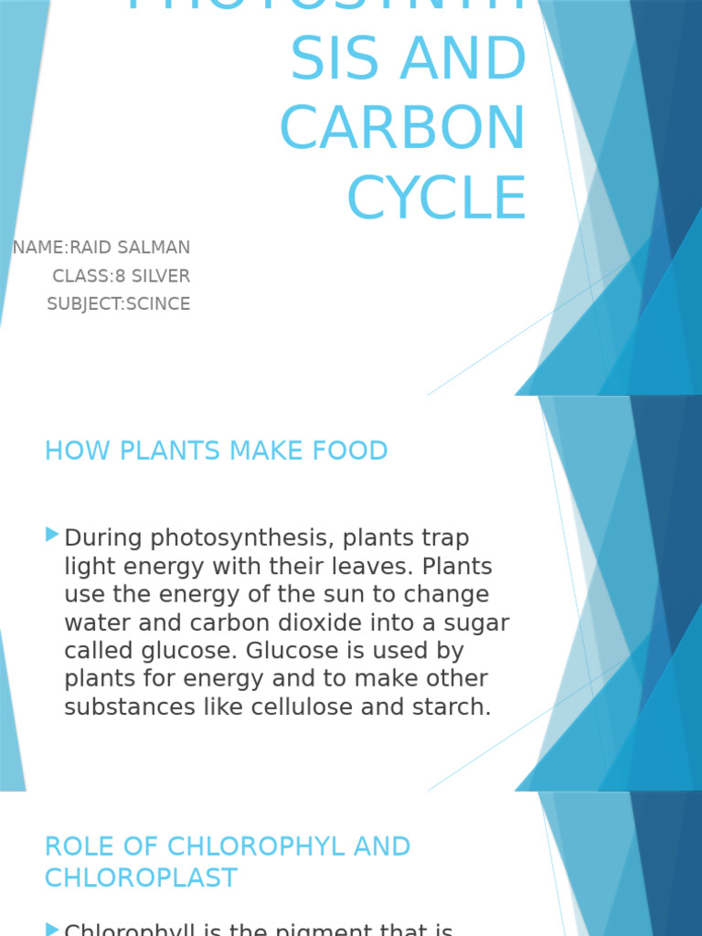 Presenation | PDF | Home & Garden | Wellness