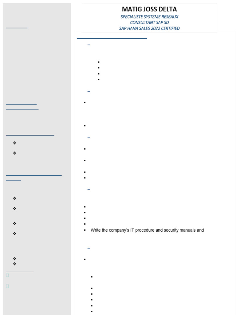 CV Sap Eng | PDF | Software | Microsoft Windows