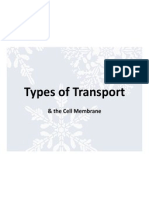 Types of Transport 12