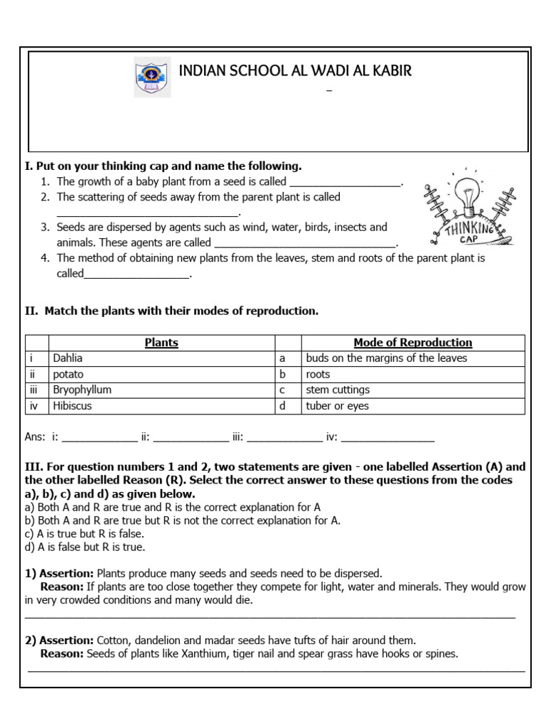 Class 5 Growing Plants Worksheet | PDF | Plants | Seed