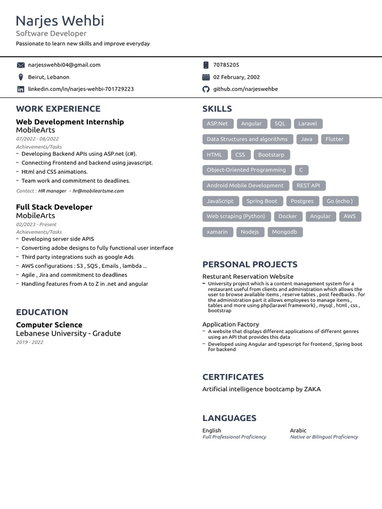 Narjes Wehbi Resume | PDF | World Wide Web | Internet & Web