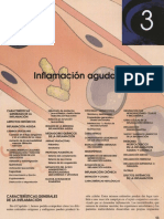 03. Inflamación aguda y crónica