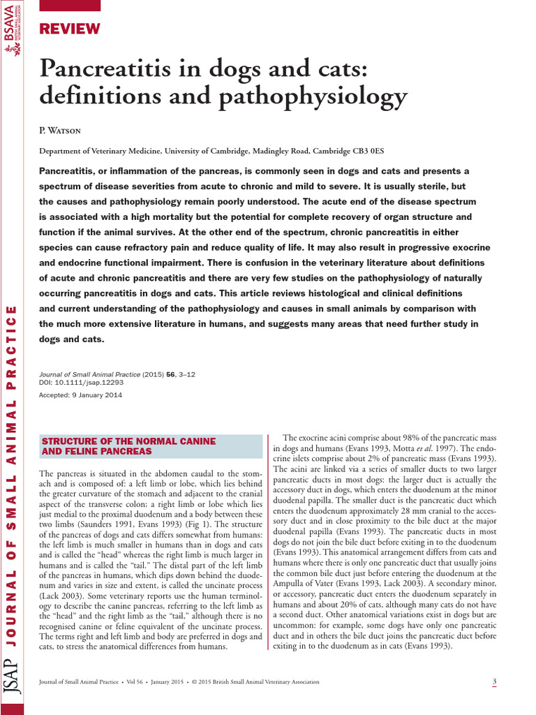Curated visual reference: Gallery Detail: Canine And Feline Pancreatitis Review Pdf Pancreas
