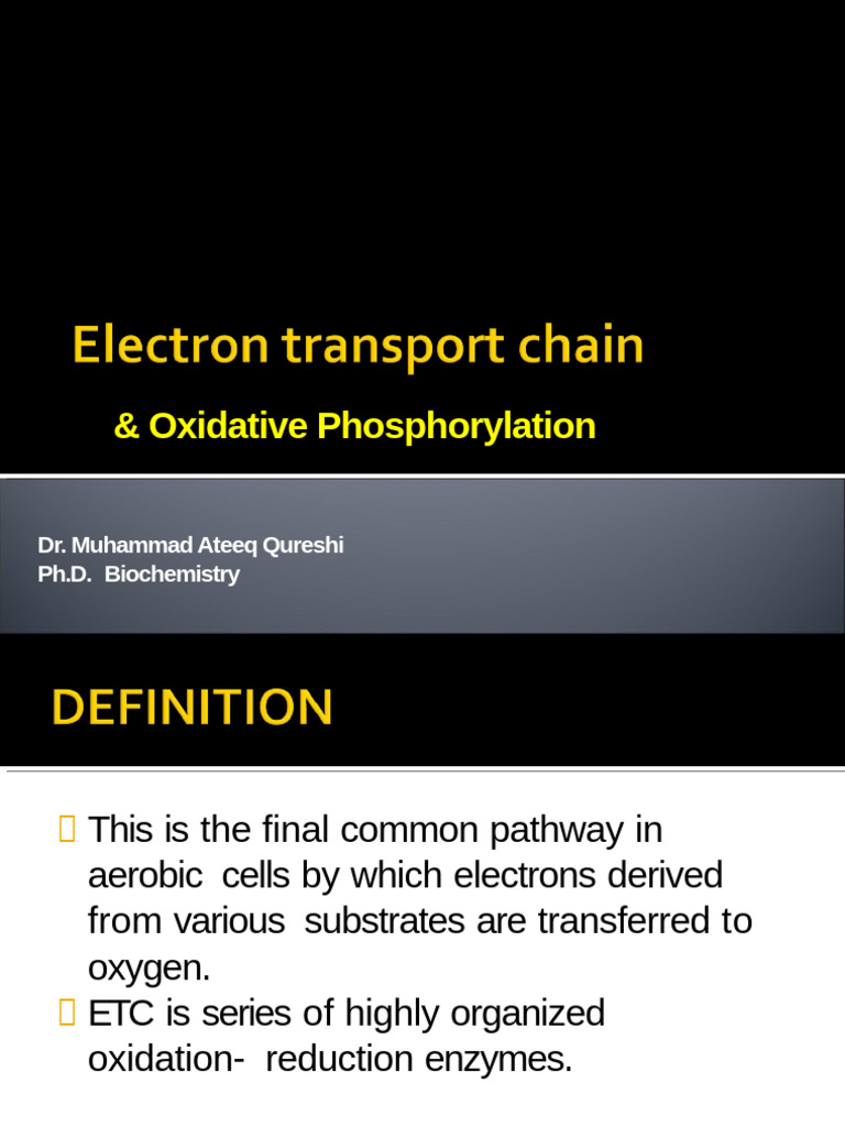 Oxidative Phosphorylation Overview | PDF | Electron Transport Chain ...