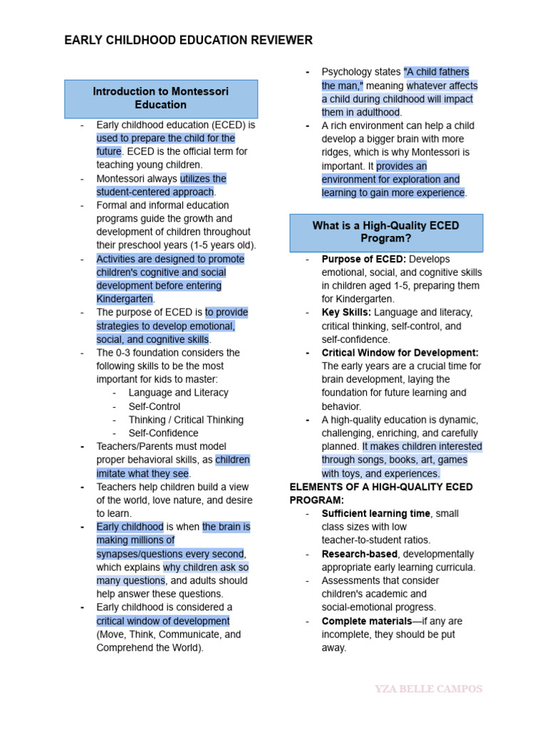 Early Childhood Education Overview | PDF | Early Childhood Education ...
