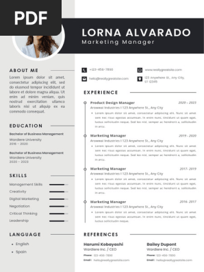 Professional Modern CV Resume