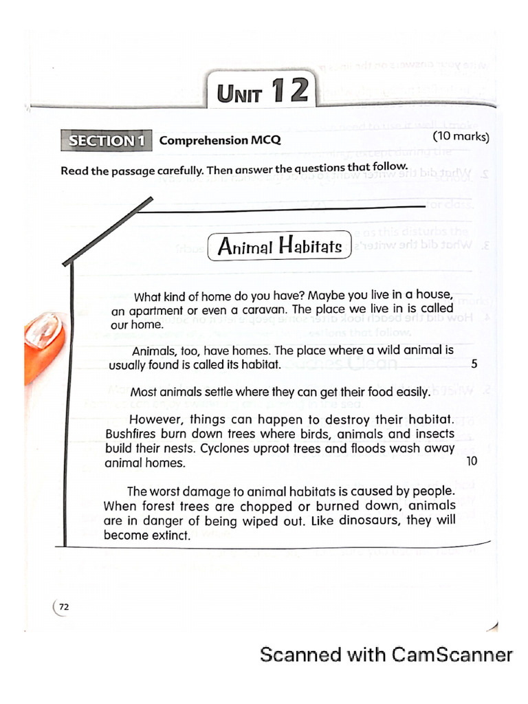Scholastic p23 Reading PDF | PDF