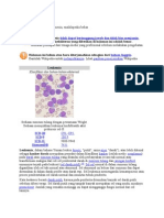 Leukemia Limphoblastik Akut