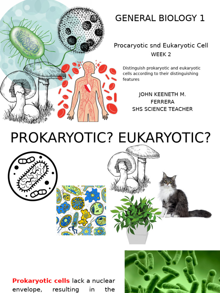 General Biology 1 | PDF | Cell (Biology) | Eukaryotes