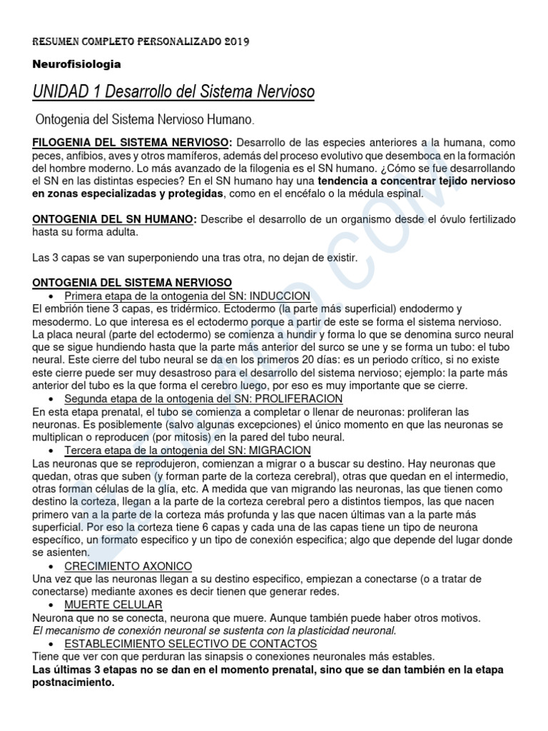 Resumen Neurofisiologia | PDF | Sinapsis | Potencial de acción