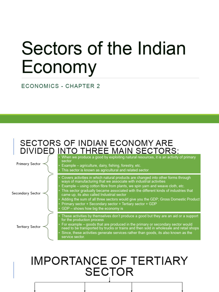 Sectors of The Indian Economy | PDF | Employment | Gross Domestic Product