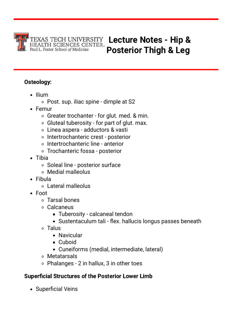 Osteology and Muscles of the Thigh & Leg | PDF | Human Leg ...