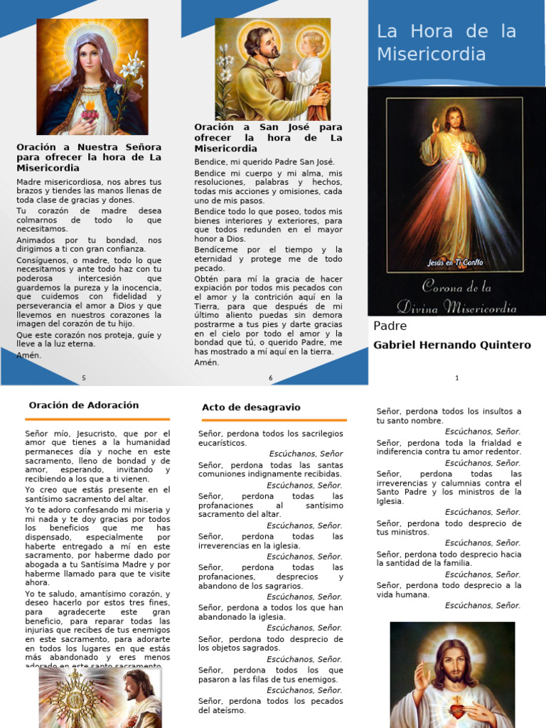 Costituzionalismo e disabilita' - Piccione main image 1