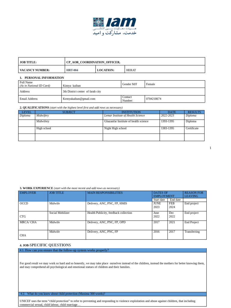 Application Form - CP AOR Coordination Officer - Herat | PDF | Child ...