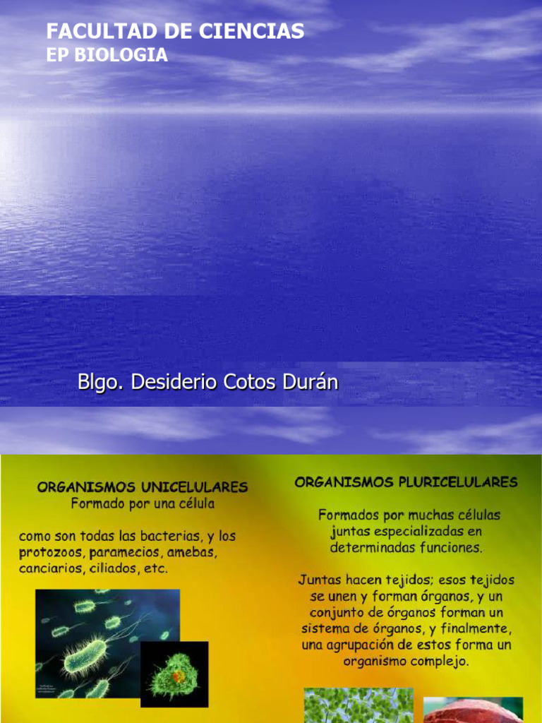 Clase 5 Bio BIO 2024 II Unjfsc | PDF | Relaciones personales, crianza y ...