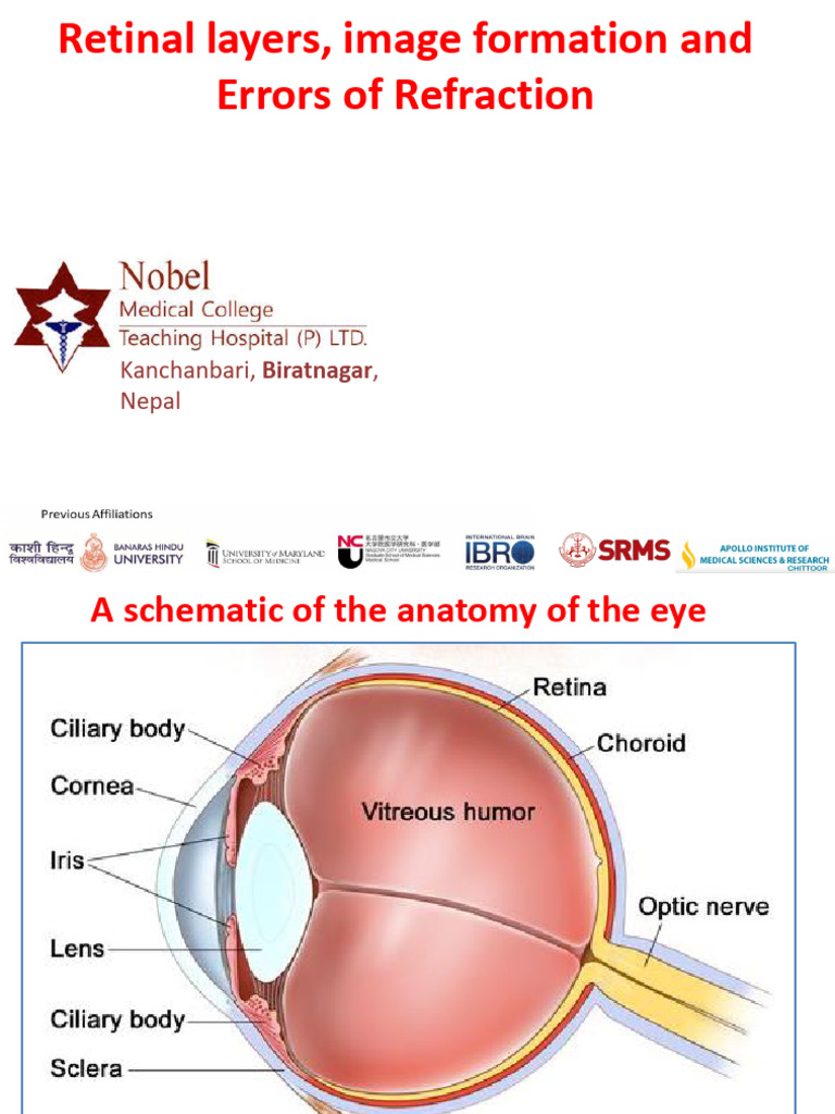 Refractory Errors of the Eye Explained | PDF | Eye | Myopia