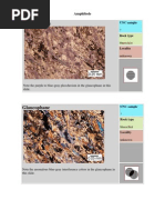 Download Minerals in Thin Section _1 by niccilo SN78488006 doc pdf