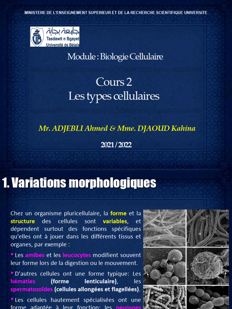 Types de cellules et tissus en biologie | PDF | Cellule (Biologie) | Virus