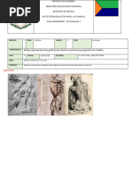 Anatomía de los músculos del torso | PDF | Sistema musculoesquelético ...