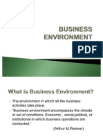 Business Environment