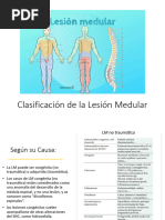 Escala de Discapacidad Por Lesión Medular - Asia | PDF