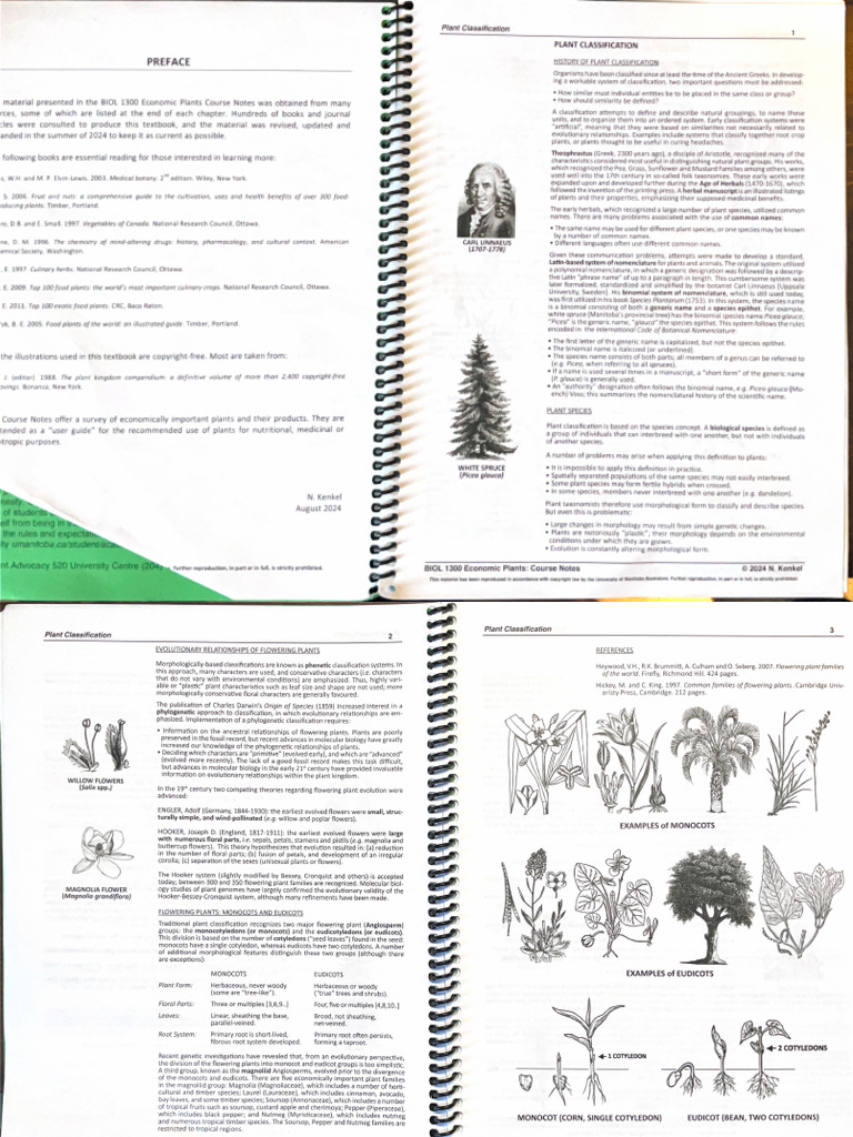 Plant Classification | PDF