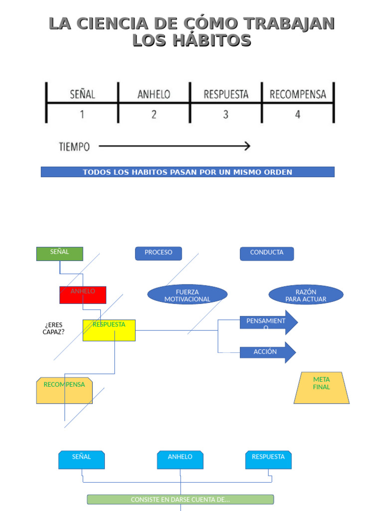 La Ciencia de Cómo Trabajan Los Habitos | PDF