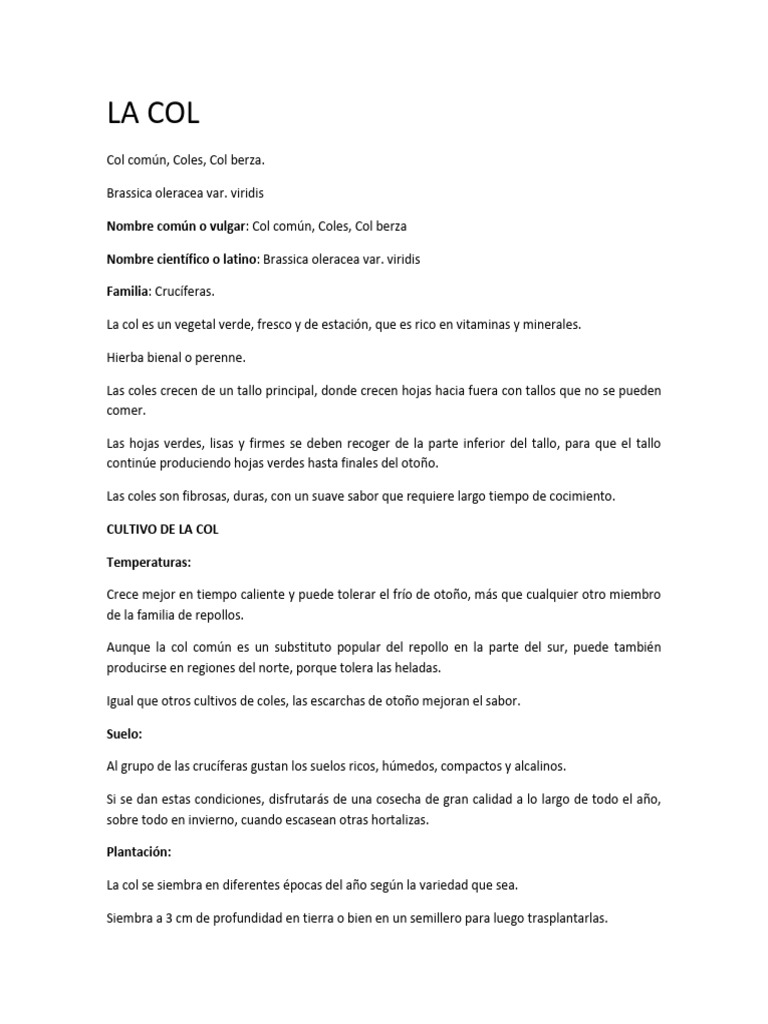 Ficha Col | PDF | Repollo
