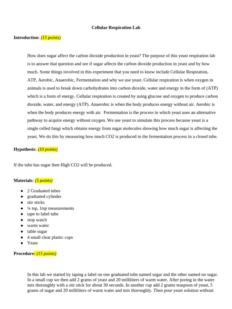Yeast Respiration and Sugar Impact | PDF | Cellular Respiration | Chemistry
