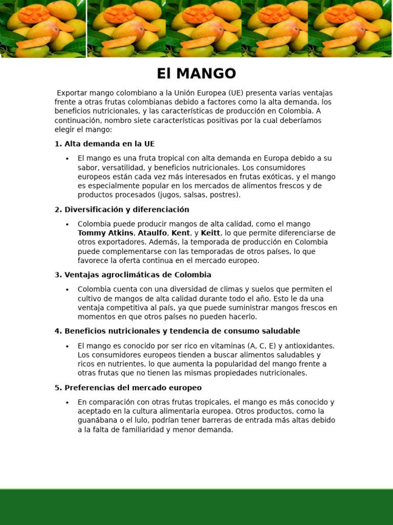 Ventajas del mango colombiano en la UE | PDF | Mango | Fruta