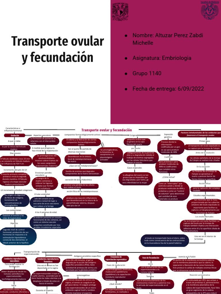 Transporte y fecundación ovular | PDF | Membrana celular | Ovario