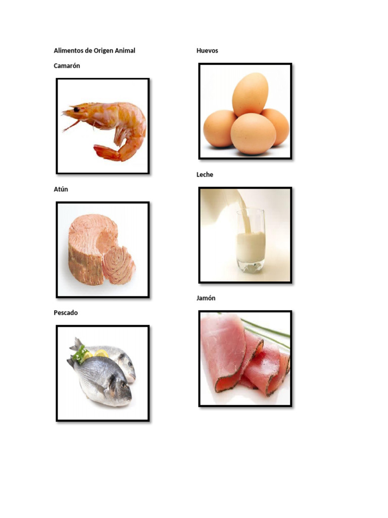 Lista de Alimentos por Origen | PDF