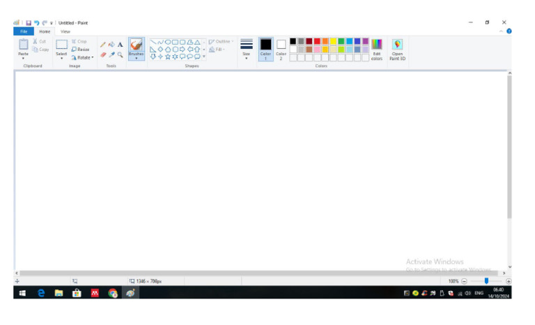 Screenshoot Paint | PDF