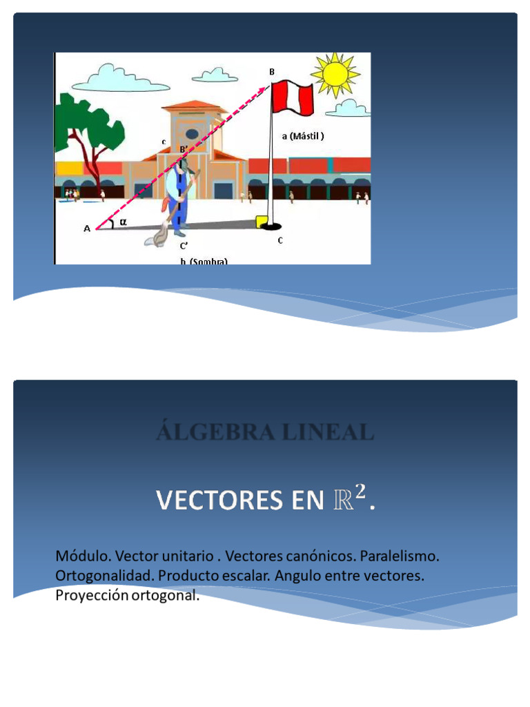 Vectores Canónicos y Unitarios | PDF | Vector Euclidiano | Ortogonalidad