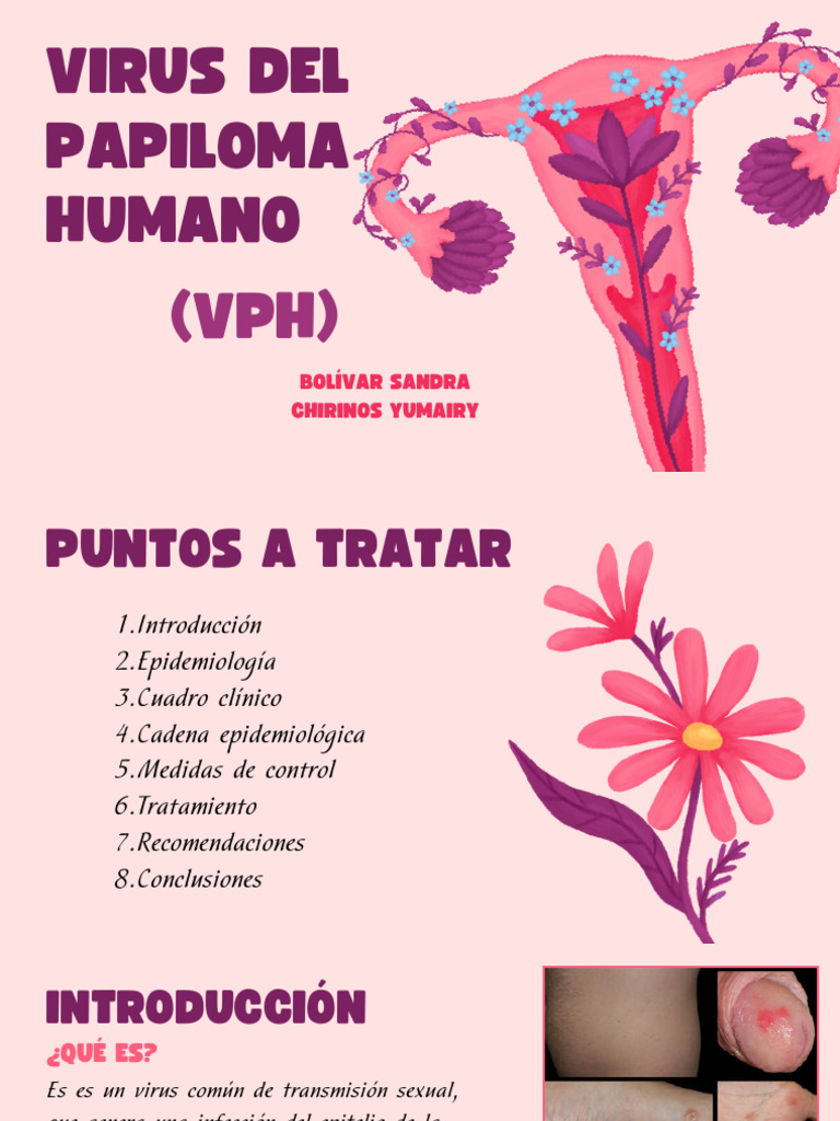 Presentación Virus Del Papiloma Humano Ilustrativo Rosa Morado | PDF ...
