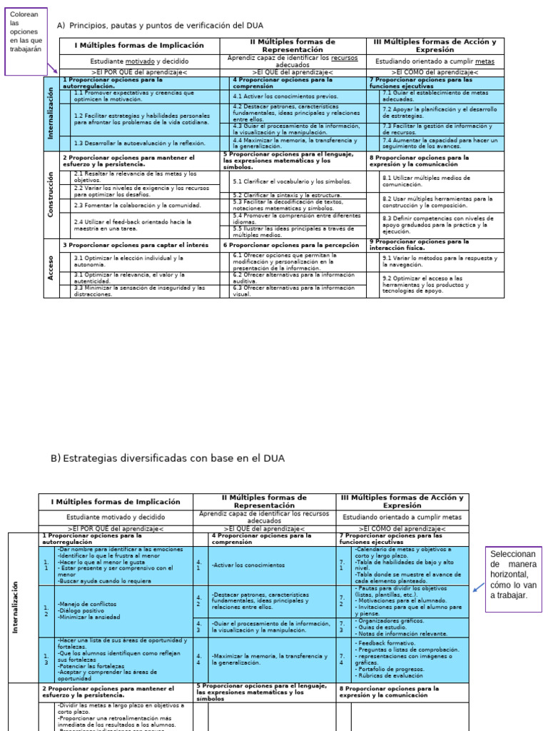 DUA. Pautas y Estrategias | PDF | Aprendizaje | Ciencia cognitiva