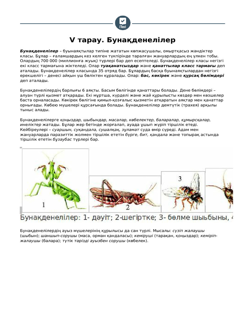 Құмарлы еркектердегі ең үлкен жыныс мүшесі