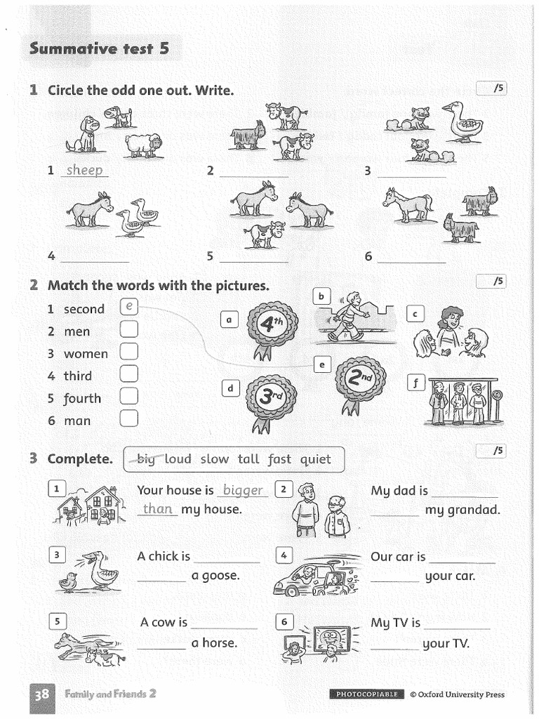 Fam 2 Sum Test 5 - 38-41 | PDF