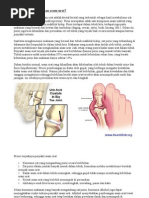 Download asam urat by Ainun Najib SN78504386 doc pdf