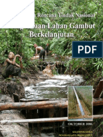 Penanganan Drainase Di Lahan Gambut