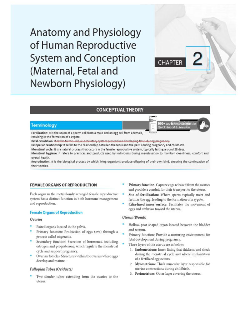 Unit 02 Obg Pdf Menstrual Cycle Placenta