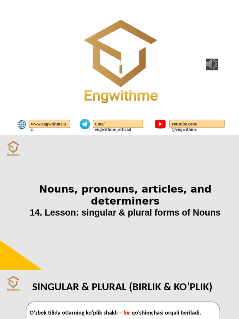 Singular and Plural Nouns Guide | PDF | Language Arts & Discipline