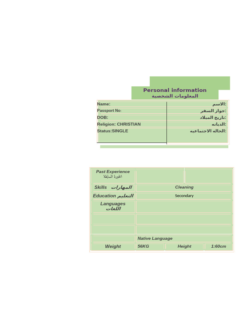 CV Format for Job Applications in Kuwait | PDF