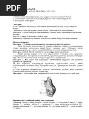 Есік тесігіне назар аударыңыз