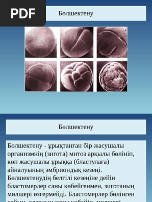 Жалаңаш денелеріндегі колготки киген модельдердің орысша порно фотолары