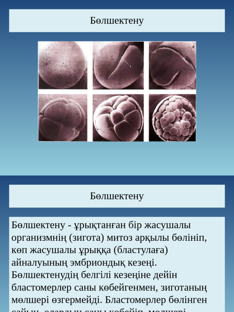 Порно секс транс